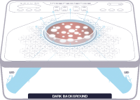 Счетчик колоний, полуавтоматический, Scan 50, Interscience