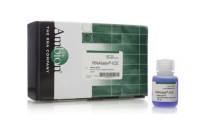 Реагент RNAlater-ICE Frozen Tissue Transition Solution, Thermo FS