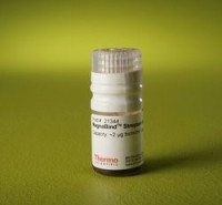Магнитные частицы, d 1-4 мкм, 5 мл, стрептавидин, MagnaBind, Thermo FS