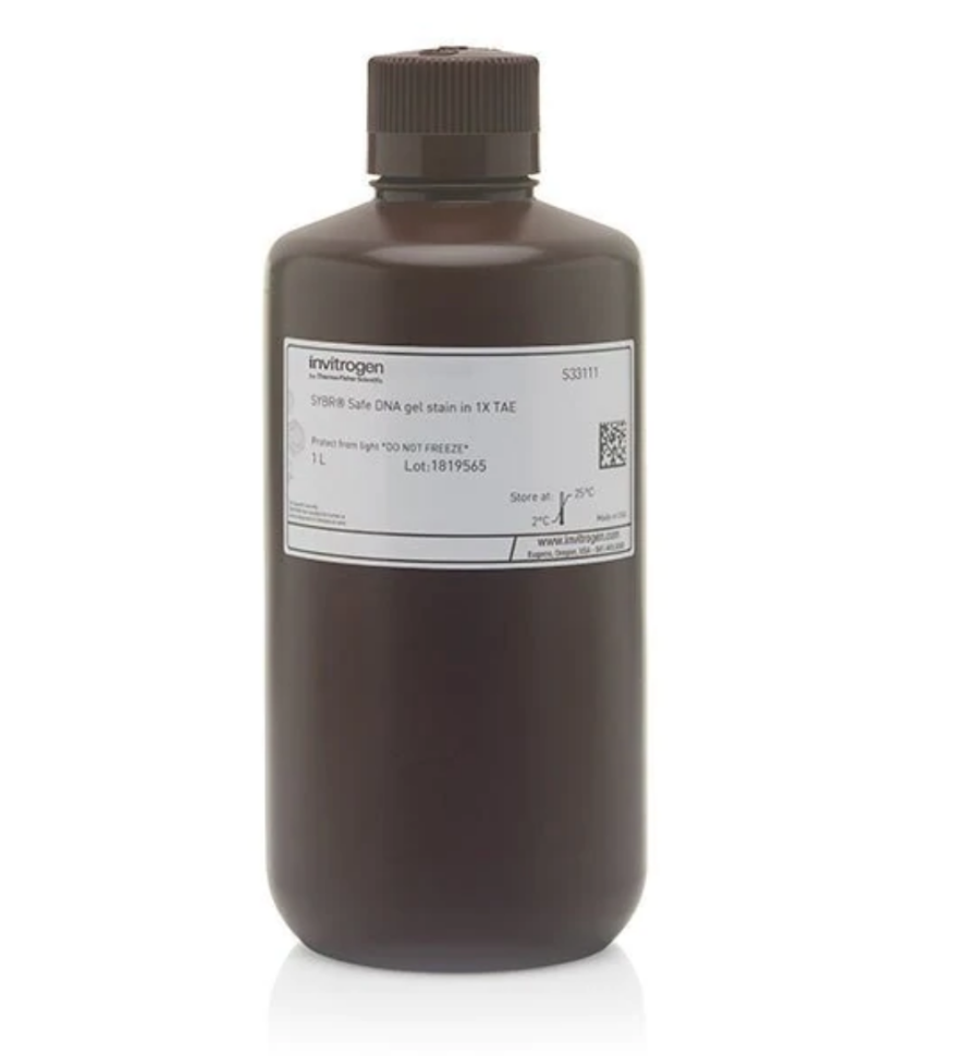 Краситель SYBR Safe, раствор в 1x буфере TAE, Thermo FS