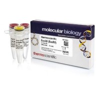 Эндонуклеаза рестрикции Eco32I (EcoRV), 10 е.а./мкл, Fermentas, Thermo FS