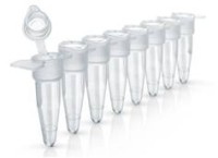 Пробирки для ПЦР в стрипах, 0,2 мл, 1х8, EasyStrip, с ультра прозрачными плоскими крышками-колпачками, бесцветные, полипропилен, 250 шт./уп., Thermo FS