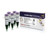 Буфер FastDigest Green для ускоренного гидролиза ДНК эндонуклеазами рестриции FastDigest, с буфером для нанесения, 10x, Thermo FS