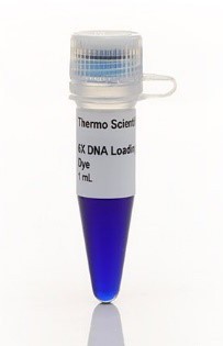 Краситель для нанесения на гель DNA Gel Loading Dye, 6X, Thermo FS