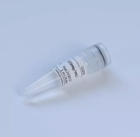 Рекомбинантная протеиназа К, 20 мг/мл, Servicebio, Китай