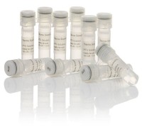 ИПТГ (Изопропил-бета-D-тиогалактопиранозид), раствор, готовый к применению, Thermo FS