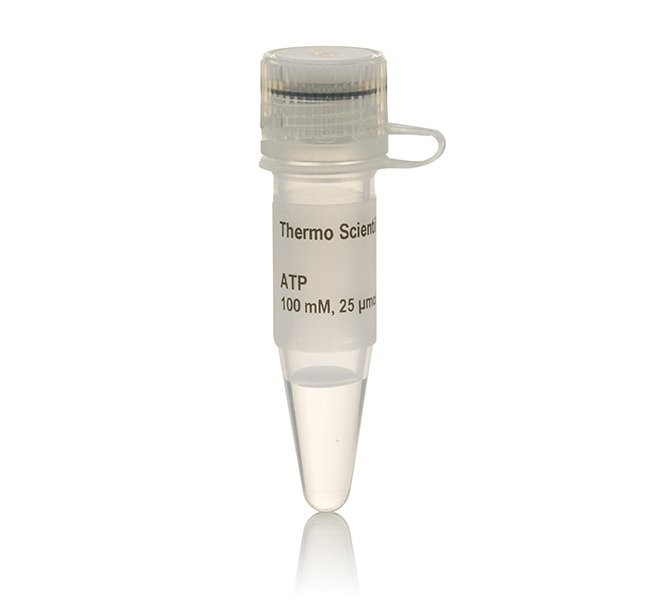 Аденозин-5’-трифосфат (ATP), 100 мМ раствор, Thermo FS