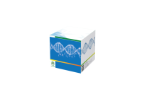 Набор DNA BR Assay Kit, для количественного определения ДНК, Китай