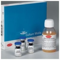 Добавка Полуфрейзера, Thermo FS