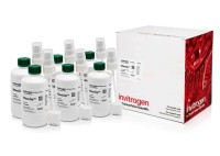 Средство для деконтаминации от РНКазы RNaseZap, Thermo FS