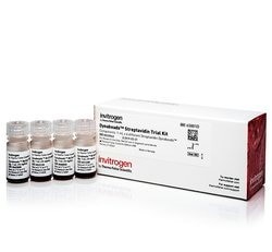Набор магнитных частиц Dynabeads, Thermo FS