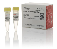 Набор AccuPrime SuperMix I, Thermo FS