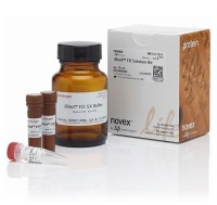 Набор реагентов iBind FD для флуоресцентной детекции блотт-мембран, 1 набор, Thermo FS