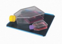 Платформа PP-4 для VDLR Latex-тестов, чашек Петри и планшет, 215x215 мм, Biosan