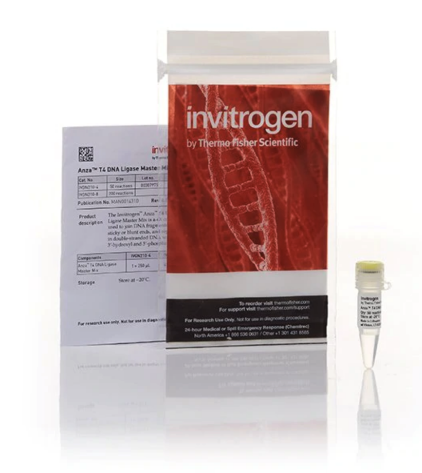 Мастер-микс Anza T4 DNA Ligase Master Mix, Thermo FS