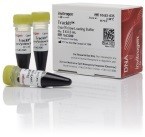 Краситель для нанесения на гель TrackIt Cyan/Yellow Loading Buffer, 6X, Thermo FS