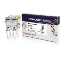 Эндонуклеаза рестрикции EcoRI, 10 е.а./мкл, Fermentas, Thermo FS