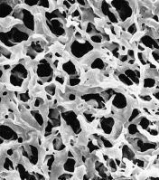 Фильтр, гидрофильный дюрапор, d пор 0,65 мкм, d мембраны 47 мм, 100 шт., Merck (Millipore)