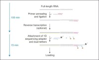 Набор для прямого секвенирования РНК, Direct RNA Sequencing Kit, Oxford Nanopore Technologies