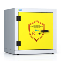 Шкаф для безопасного хранения ЛВЖ 600, DION