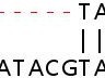 Клеточная линия Human CD47 knockout HEK293T cell line, Abcam