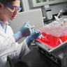Мешок для культивирования клеток в шейкерах, 50 л, EVA/LDPE, Corning