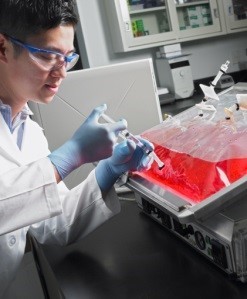 Мешок для культивирования клеток в шейкерах, 50 л, EVA/LDPE, Corning