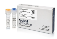 Набор AmpliTaq Gold 360 Master Mix, Thermo FS