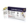 Эндонуклеаза рестрикции Esp3I (BsmBI), 10 e.a/мкл, Fermentas, Thermo FS