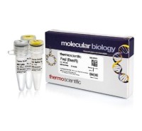 Эндонуклеаза рестрикции FaqI (BsmFI), 2 е.а./мкл, Fermentas, Thermo FS