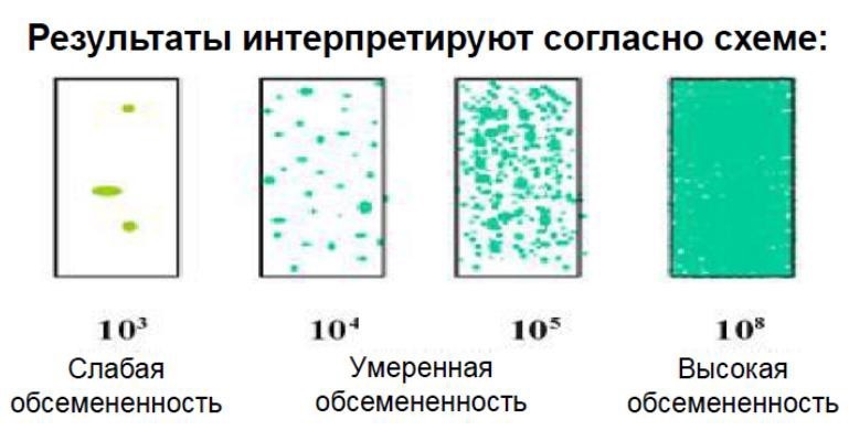 Микробиологические экспресс-тесты для определения КМАФАнМ (ОМЧ) и плесени/дрожжи, двухсторонние, Dip-Slides, 10 шт/уп, Thermo FS