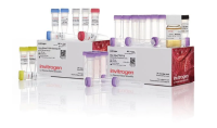 Набор Zero Blunt PCR Cloning Kit, Thermo FS