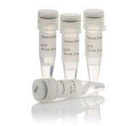 Дезоксинуклеотидтрифосфаты dATP, dCTP, dGTP, dTTP, набор, 4х100 мМ, Thermo FS