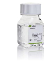 Раствор Версена, 1:5,000 (1X), без фенолового красного, Thermo FS