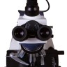 Микроскоп цифровой Levenhuk MED D35T, тринокулярный