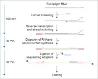 Набор для прямого секвенирования кДНК, Direct cDNA Sequencing Kit, Oxford Nanopore Technologies