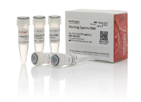 Раствор ДНК спермы сельди/Herring Sperm DNA Solution, UltraPure, Thermo FS