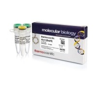 Эндонуклеаза рестрикции Hin1I (BsaHI), 10 е.а./мкл, Fermentas, Thermo FS