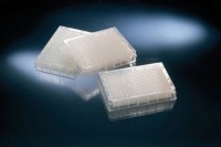 Планшет глубоколуночный, 384/252, U-образное дно, квадратная лунка, прозрачная рамка, 5 шт/уп, 60 шт/кор., Thermo FS