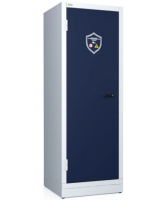 Огнестойкий шкаф DION 700 для хранения литий-ионных АКБ