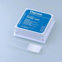 Стекло предметное, 25×75×1 мм, шлиф. кр. 90°, с адгезивным покрытием Polysine, белое поле для маркировки, 72 шт/уп., Thermo FS