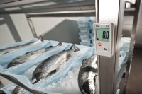 testo 174 T - Мини-логгер данных температуры