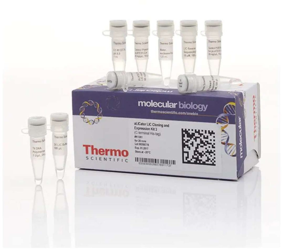 Набор для безлигазного клонирования aLICator LIC Cloning and Expression Kit 3, Thermo FS