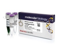 Эндонуклеаза рестрикции Hin1II Fast Digest для ускоренного гидролиза ДНК, Fermentas, Thermo FS