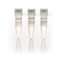 ДНКаза I, раствор, не содержит РНКаз, 1 ед/мкл, Thermo FS