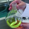 Магнитный перемешивающий элемент Bohlender овальный, размер 50 x20 мм, PTFE