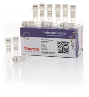 Набор для безлигазного клонирования aLICator LIC Cloning and Expression Set 1, Thermo FS