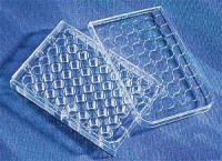 Планшеты культуральные 96-луночные., плоскодонные, стерил., инд.упак., 1 шт./уп., Corning (аналог арт. 701002, Nest, Китай)