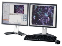 ИК-Фурье микроскоп Nicolet iN10, Thermo FS