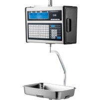 Весы подвесные CAS CL3000-15H (TCP/IP)